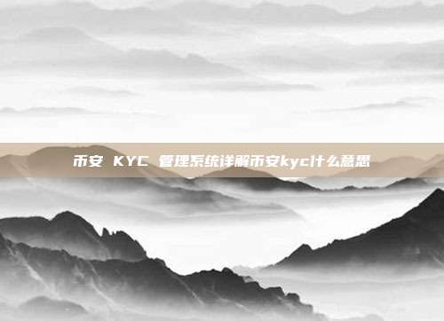 币安 KYC 管理系统详解币安kyc什么意思