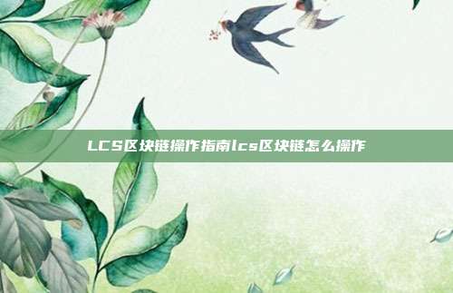 LCS区块链操作指南lcs区块链怎么操作