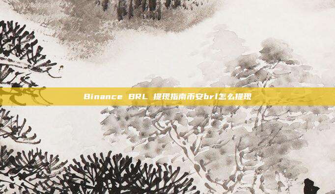 Binance BRL 提现指南币安brl怎么提现