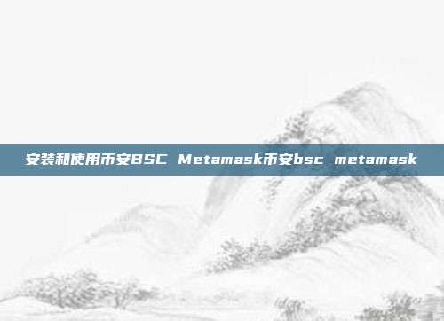 安装和使用币安BSC Metamask币安bsc metamask