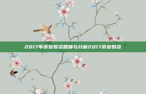 2017年币安投资回顾与分析2017币安投资