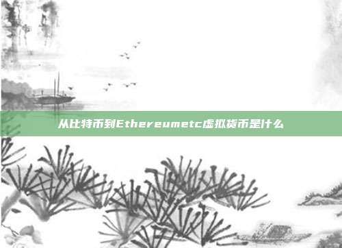 从比特币到Ethereumetc虚拟货币是什么