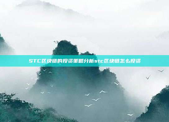 STC区块链的投资策略分析stc区块链怎么投资