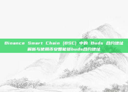 Binance Smart Chain (BSC) 中的 Buds 合约地址解析与使用币安智能链buds合约地址