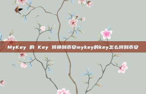 MyKey 的 Key 转换到币安mykey的key怎么转到币安