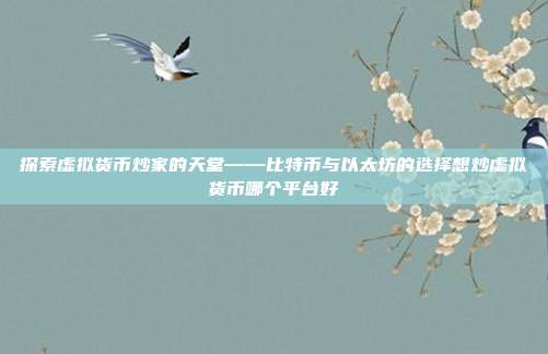 探索虚拟货币炒家的天堂——比特币与以太坊的选择想炒虚拟货币哪个平台好