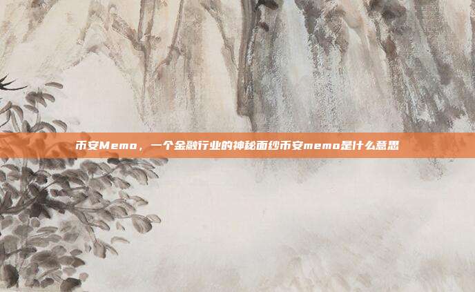 币安Memo，一个金融行业的神秘面纱币安memo是什么意思