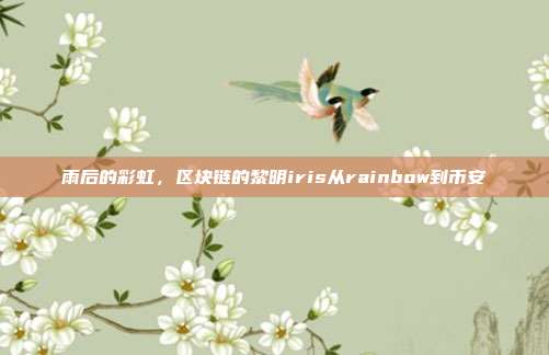 雨后的彩虹，区块链的黎明iris从rainbow到币安