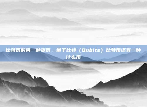 比特币的另一种货币，量子比特（Qubits）比特币还有一种什么币