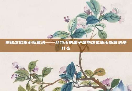 揭秘虚拟货币新算法——比特币的量子革命虚拟货币新算法是什么