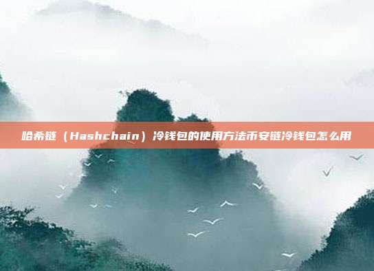 哈希链（Hashchain）冷钱包的使用方法币安链冷钱包怎么用