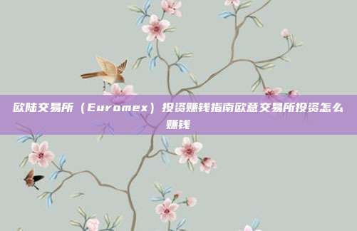 欧陆交易所（Euromex）投资赚钱指南欧意交易所投资怎么赚钱