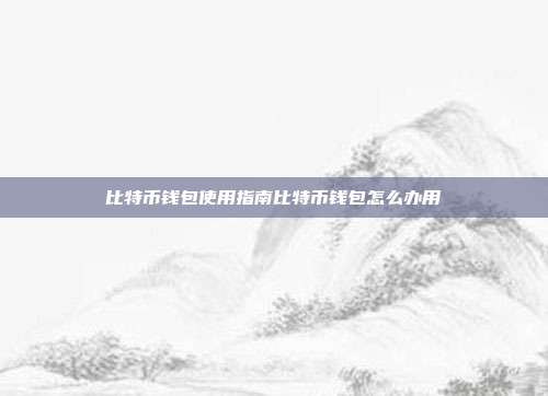 比特币钱包使用指南比特币钱包怎么办用