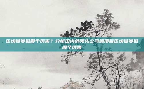 区块链赛道哪个厉害？分析国内外领先公司和项目区块链赛道哪个厉害