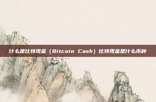 什么是比特现金（Bitcoin Cash）比特现金是什么币种