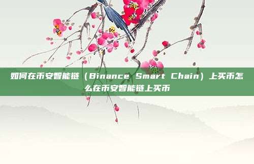 如何在币安智能链（Binance Smart Chain）上买币怎么在币安智能链上买币