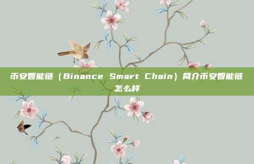 币安智能链（Binance Smart Chain）简介币安智能链怎么样