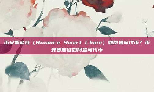 币安智能链（Binance Smart Chain）如何查询代币？币安智能链如何查询代币