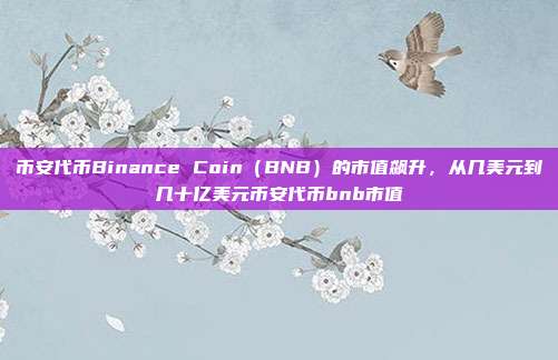 币安代币Binance Coin（BNB）的市值飙升，从几美元到几十亿美元币安代币bnb市值