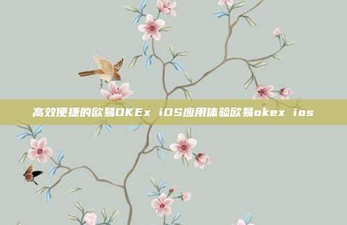 高效便捷的欧易OKEx iOS应用体验欧易okex ios