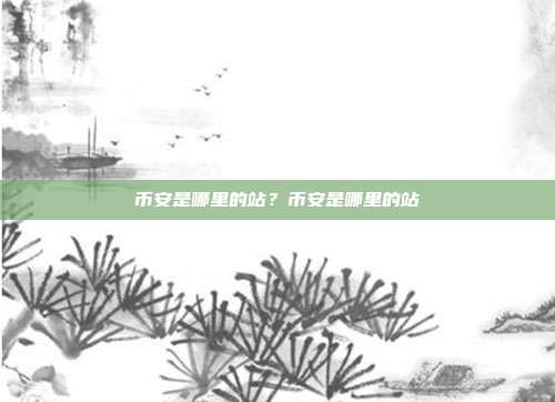 币安是哪里的站？币安是哪里的站