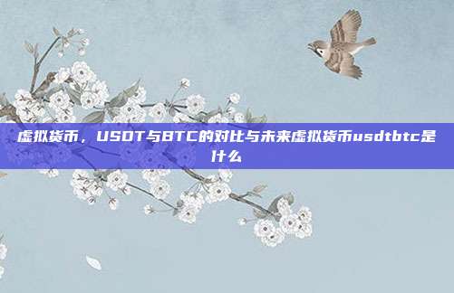 虚拟货币，USDT与BTC的对比与未来虚拟货币usdtbtc是什么