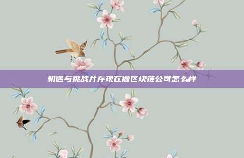 机遇与挑战并存现在做区块链公司怎么样