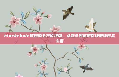 blockchain项目的全方位视角，从概念到应用区块链项目怎么看