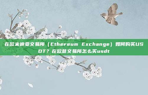 在欧米迪亚交易所（Ethereum Exchange）如何购买USDT？在欧意交易所怎么买usdt