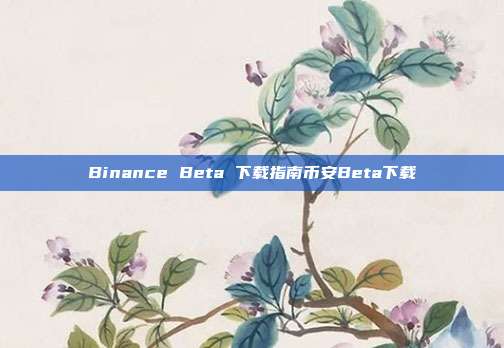 Binance Beta 下载指南币安Beta下载