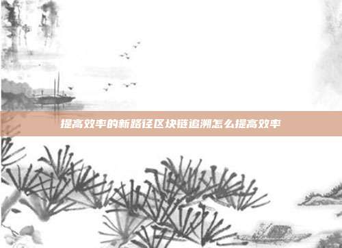 提高效率的新路径区块链追溯怎么提高效率