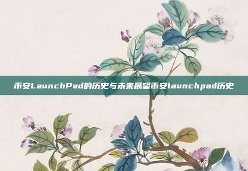 币安LaunchPad的历史与未来展望币安launchpad历史