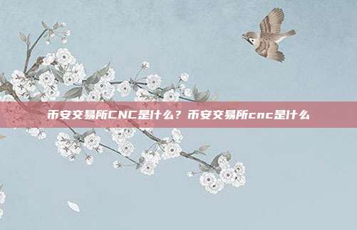 币安交易所CNC是什么？币安交易所cnc是什么