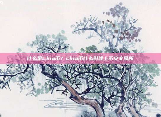 什么是Chia币？chia币什么时候上币安交易所