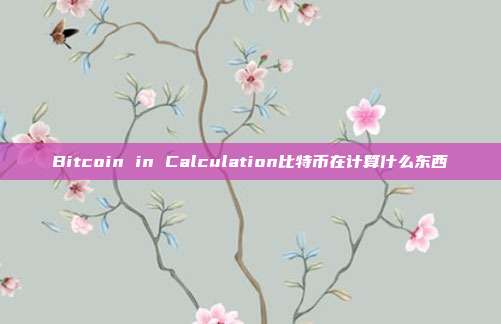 Bitcoin in Calculation比特币在计算什么东西