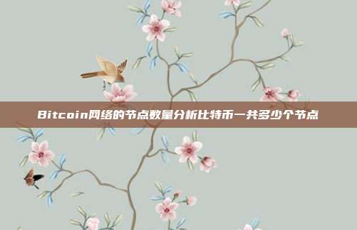 Bitcoin网络的节点数量分析比特币一共多少个节点