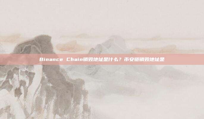 Binance Chain销毁地址是什么？币安链销毁地址是