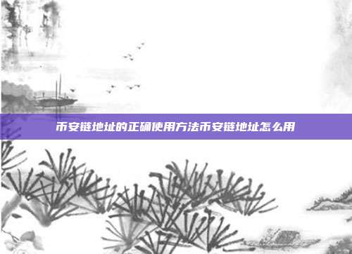 币安链地址的正确使用方法币安链地址怎么用