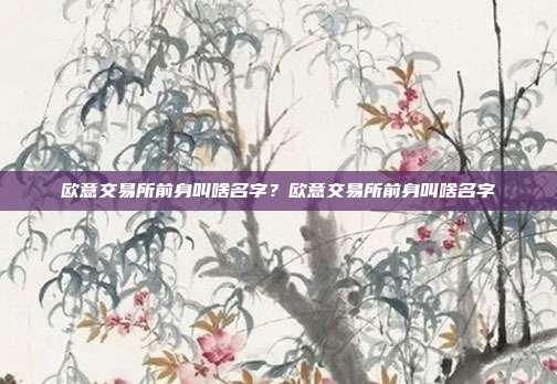 欧意交易所前身叫啥名字？欧意交易所前身叫啥名字