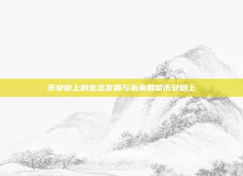 币安链上的生态发展与未来展望币安链上