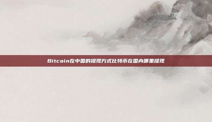 Bitcoin在中国的提现方式比特币在国内哪里提现