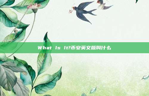 What Is It?币安英文版叫什么