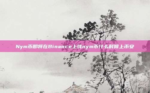 Nym币即将在Binance上线nym币什么时候上币安