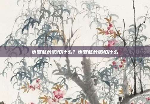 币安赵长鹏怕什么？币安赵长鹏怕什么