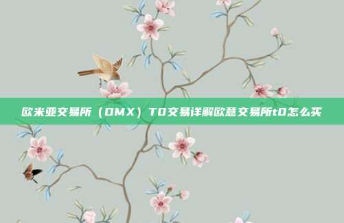 欧米亚交易所（OMX）T0交易详解欧意交易所t0怎么买