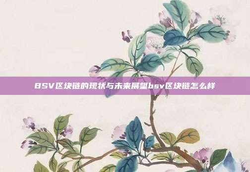 BSV区块链的现状与未来展望bsv区块链怎么样