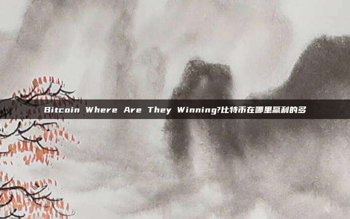 Bitcoin Where Are They Winning?比特币在哪里赢利的多