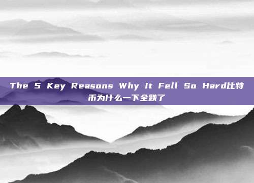 The 5 Key Reasons Why It Fell So Hard比特币为什么一下全跌了