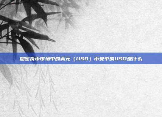 加密货币市场中的美元（USD）币安中的USD是什么