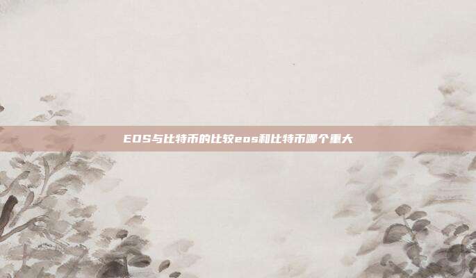 EOS与比特币的比较eos和比特币哪个重大